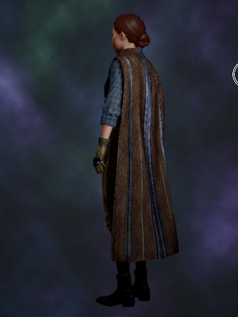 The back view of the player character wearing a brown and blue cloak