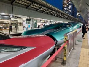 A Romantic Day Trip from Tokyo to Iwate, Japan