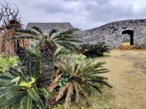 A Warm Winter Getaway in Okinawa, Japan: Part 2