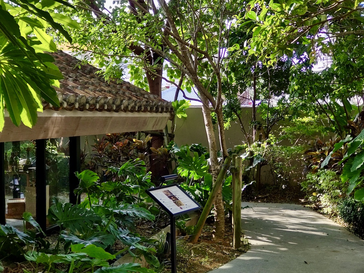 Red-tiled roofs and tropical plants in the morning light