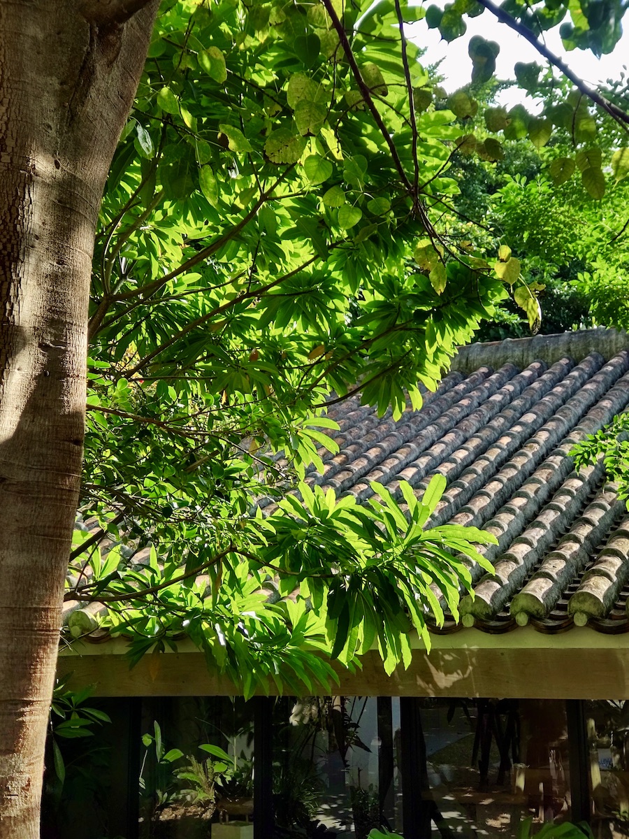 Okinawan Tiled Roofs