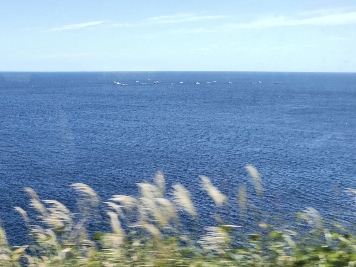 View from a train window of many small fishing boats on the sea