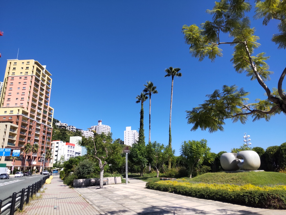 Jacaranda and palm trees along a road under a clear blue sky