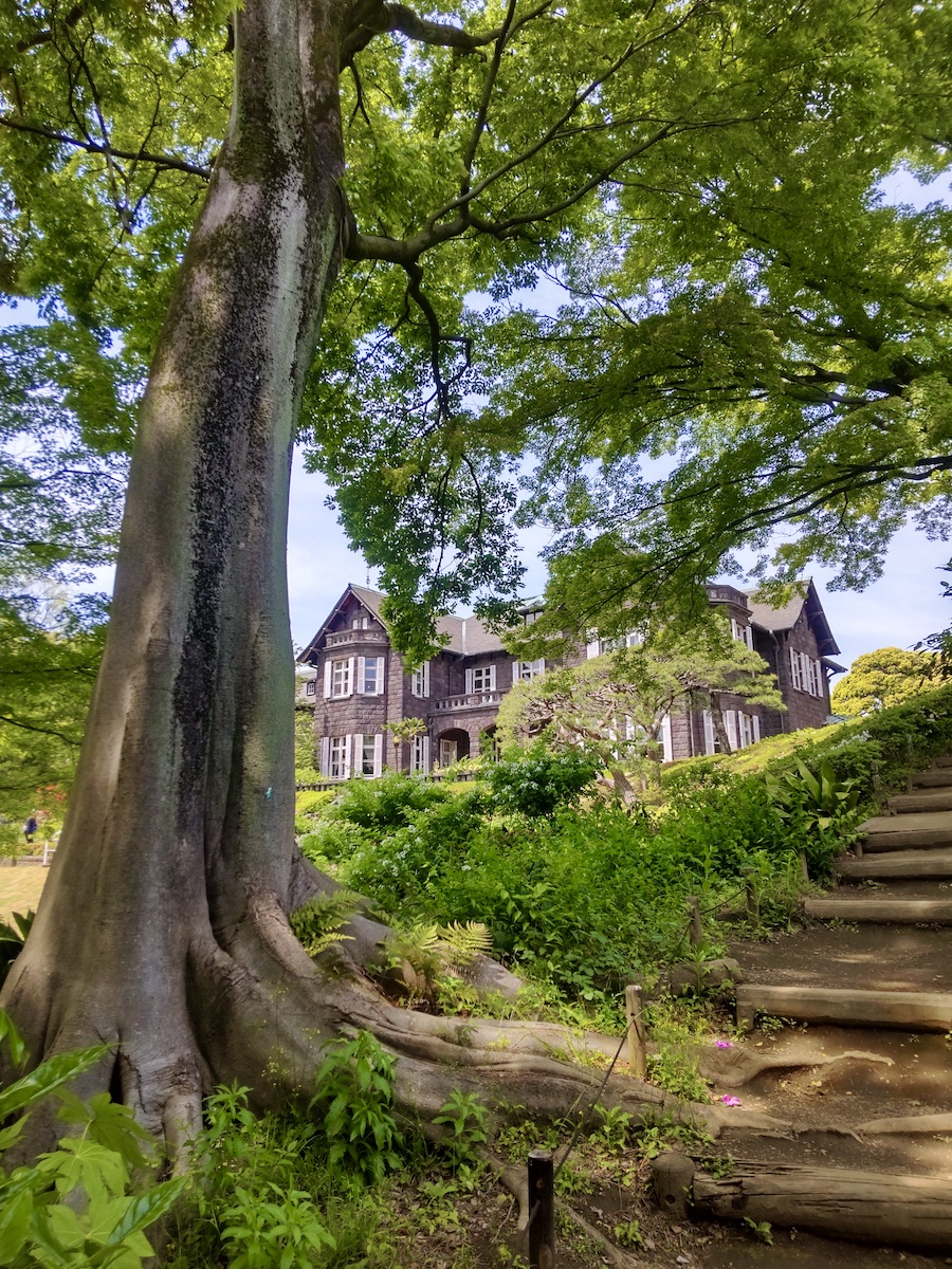 A Western-style building beyond natural stairs next to a large tree