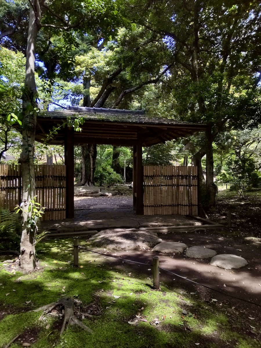 Sunlight filtering through greenery onto a gate made of bamboo and wood