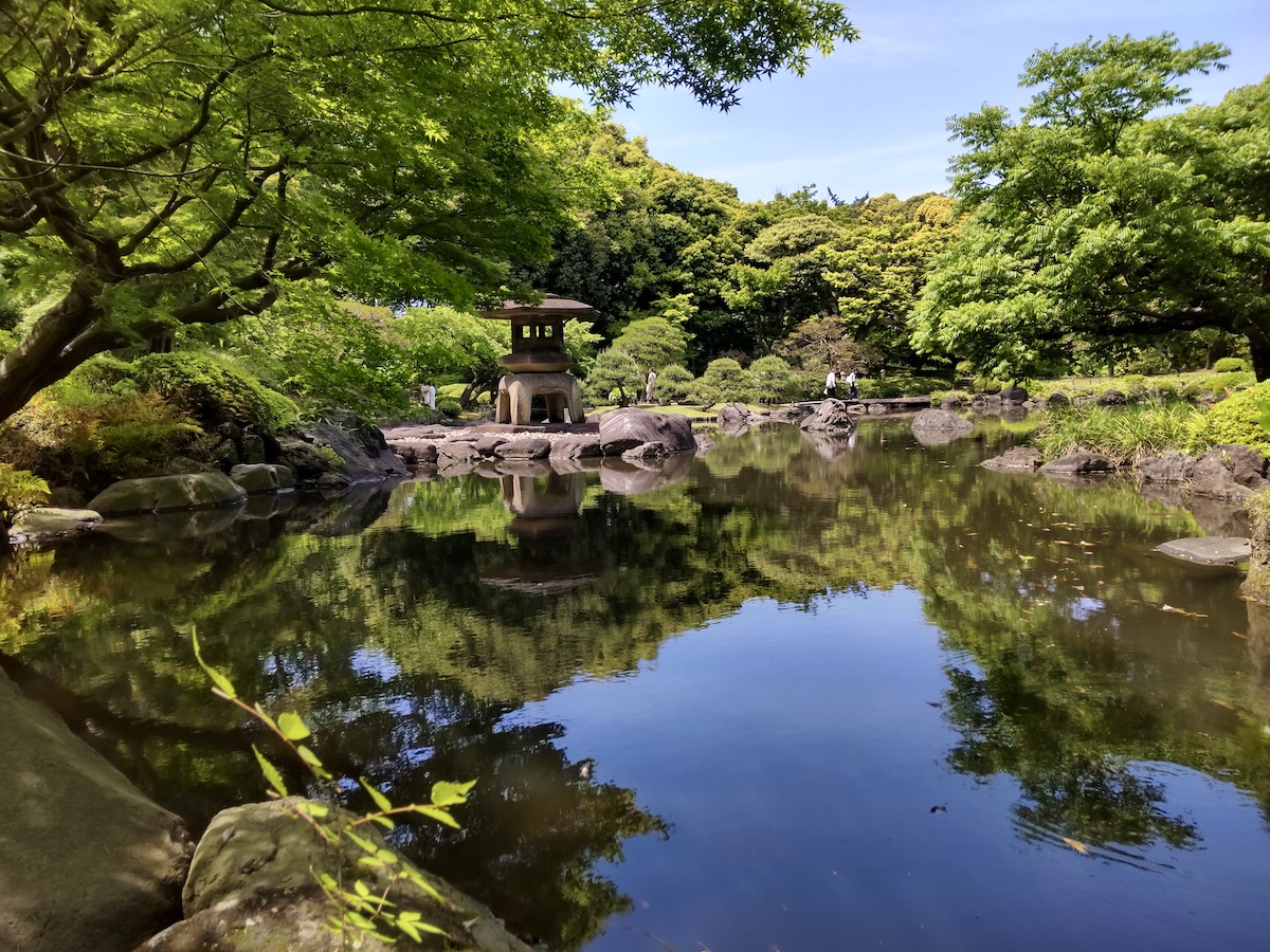 A garden pond reflecting blue sky and fresh greenery with a large stone lantern
