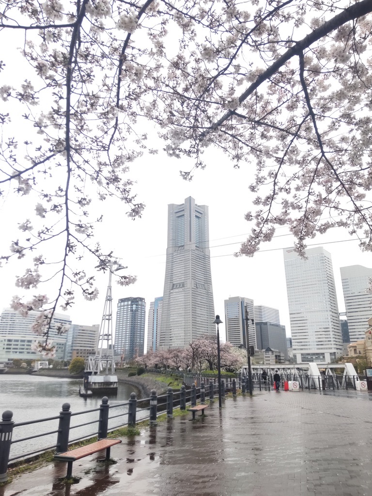 Skyscrapers seen through cherry blossoms on a rainy day