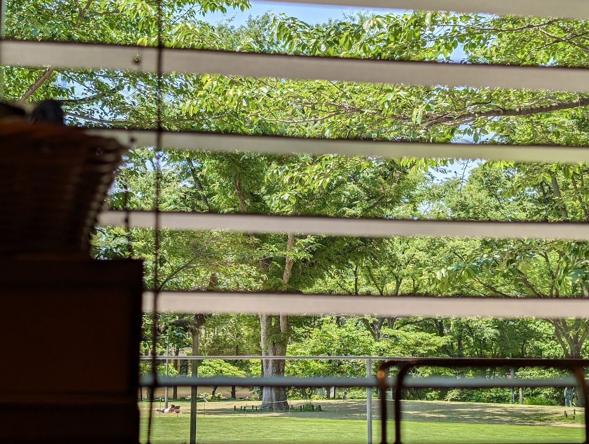 A lush green park filled with trees visible through the slats of a window blind