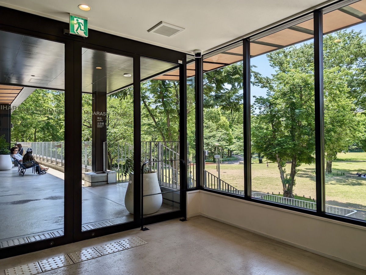 Lush green park trees viewed from inside a modern glass walled building