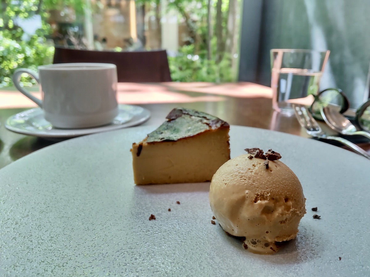 Basque cheesecake and coffee ice cream with fresh greenery background