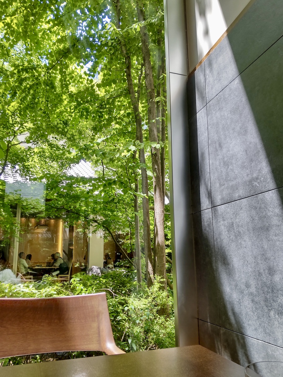 High ceiling window overlooking lush greenery viewed from a seat
