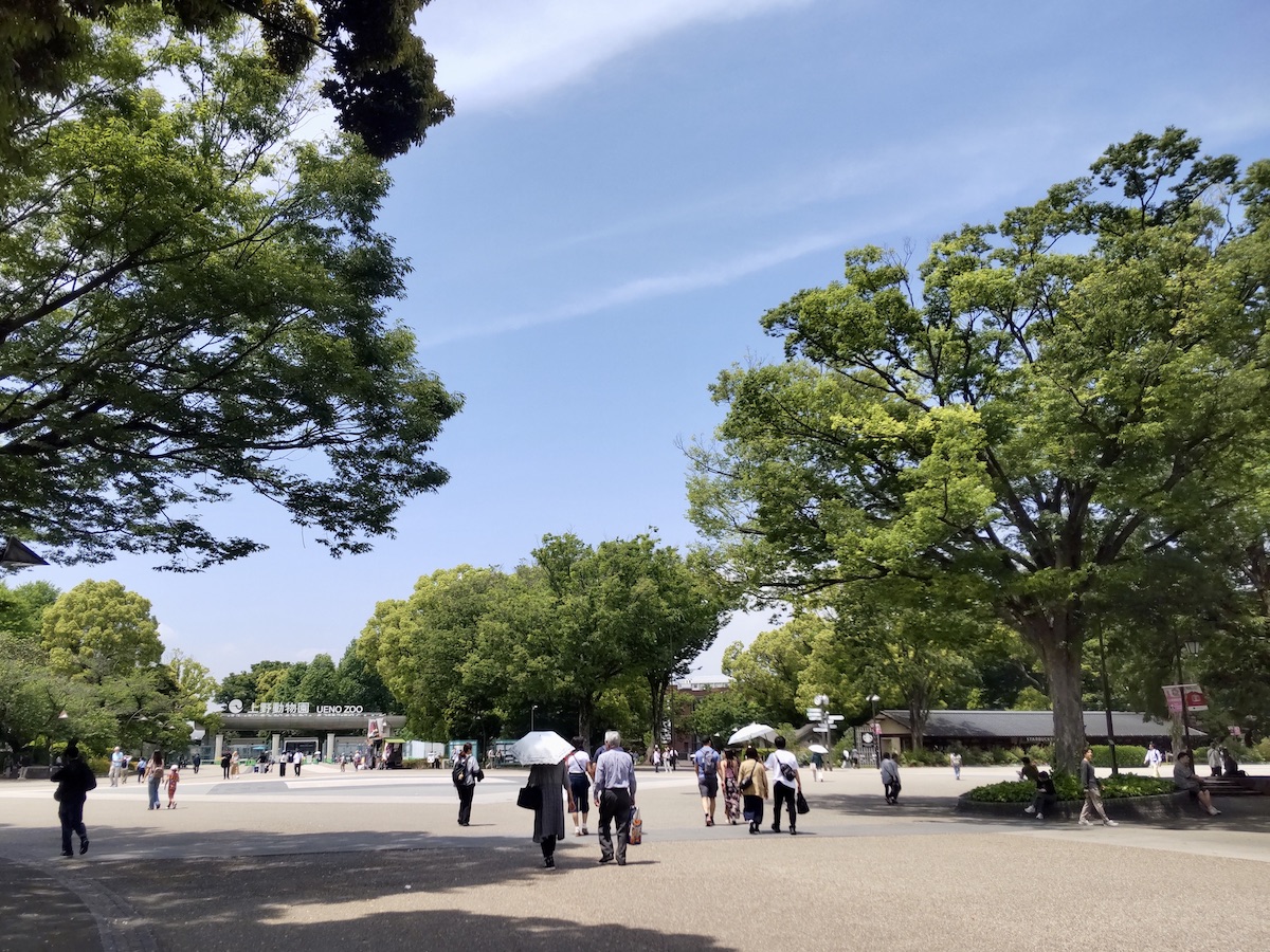 A wide street under blue sky with tall trees and pedestrians