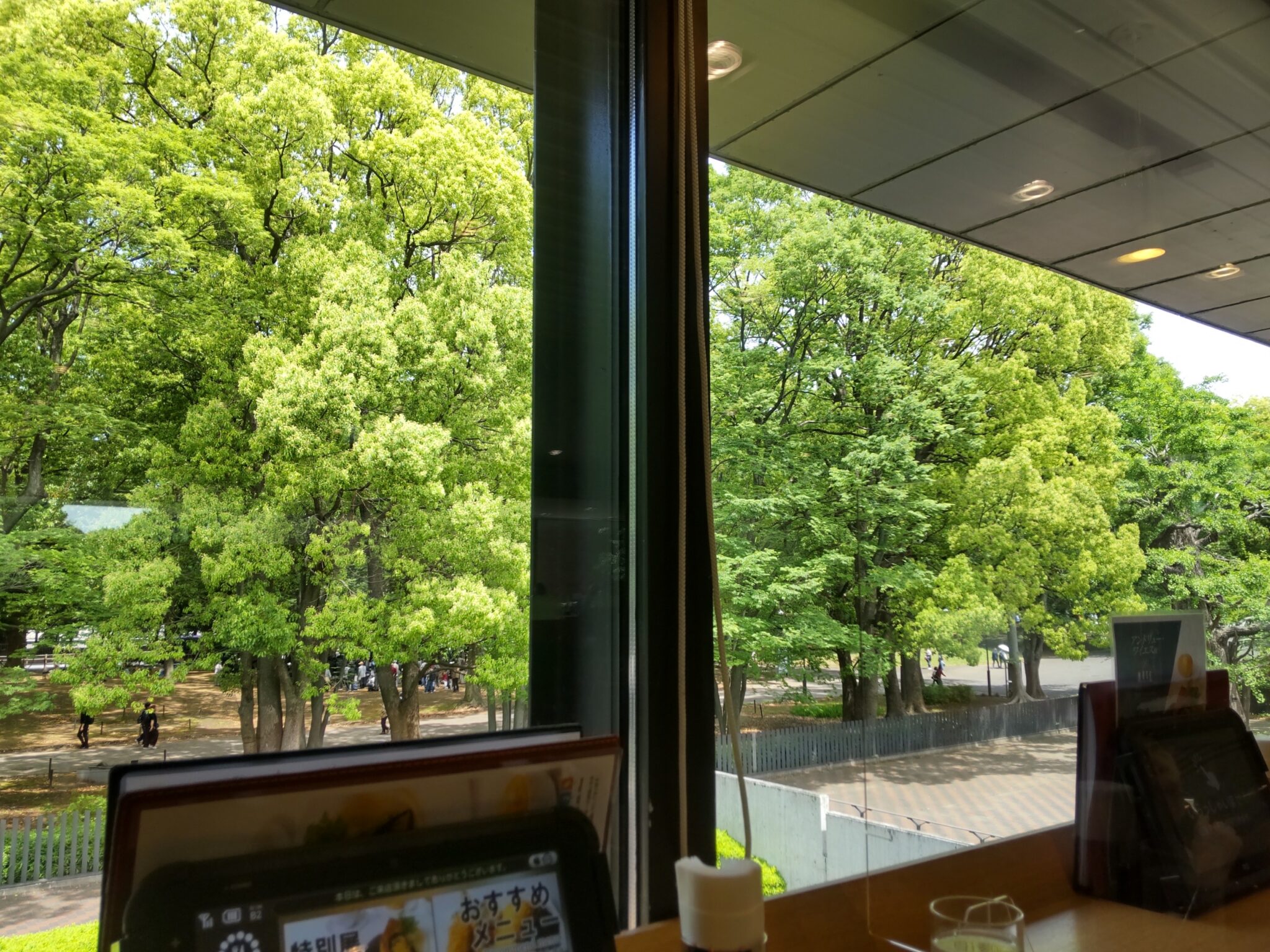 Lush green trees visible through a wide window facing seats