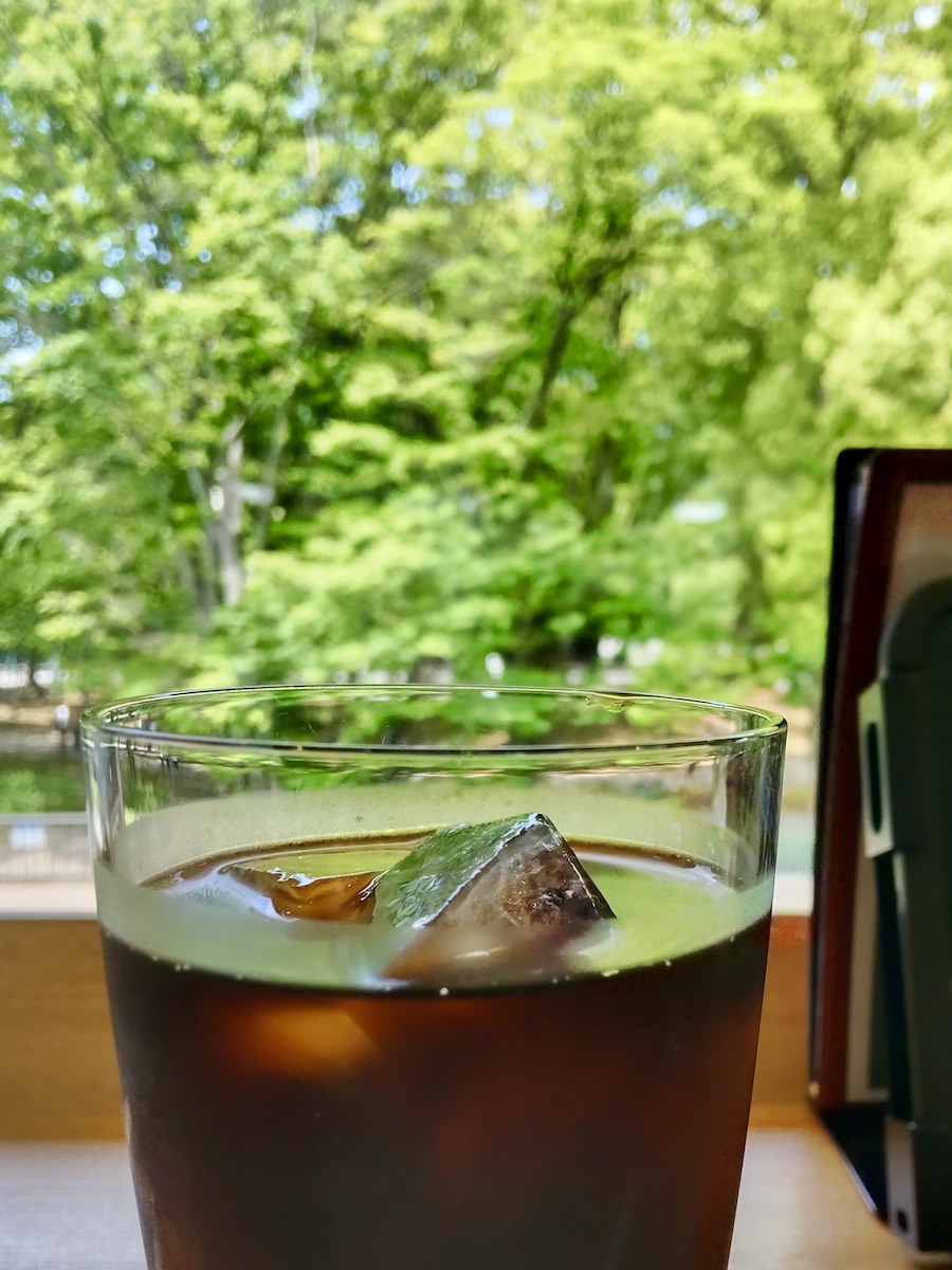 Close-up of iced coffee with ice cubes and greenery background