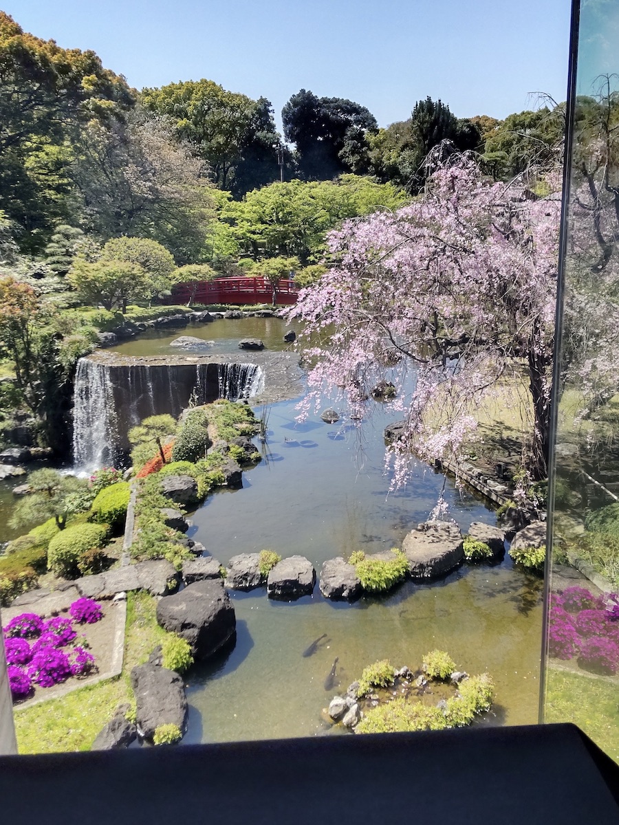 A Japanese garden with cherry blossoms, a pond, and waterfalls