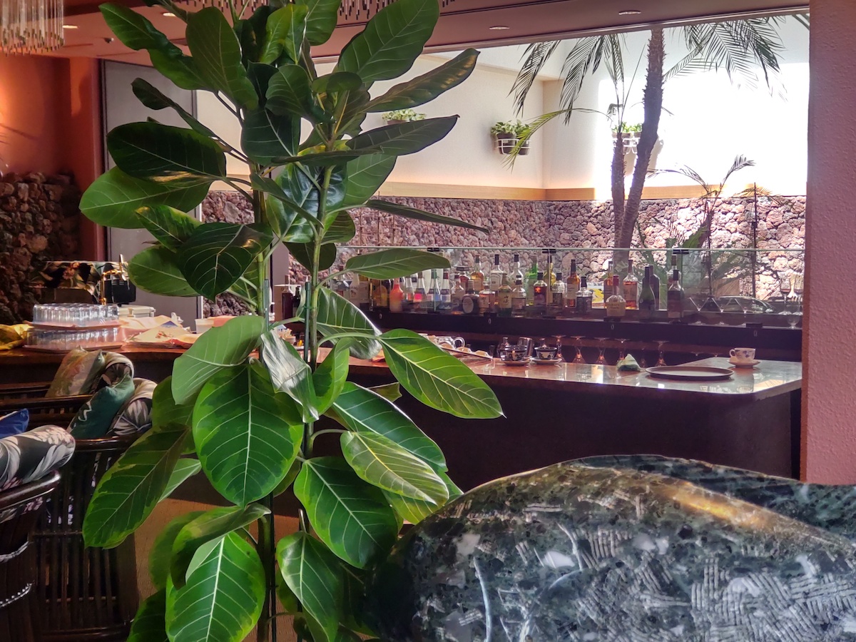 A bar counter with many bottles lined up, viewed through green plants