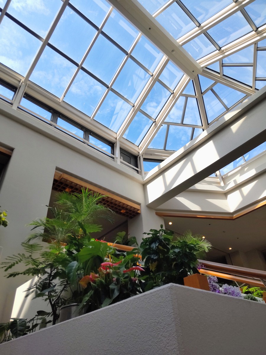 A glass ceiling showing the blue sky above lush green plants below