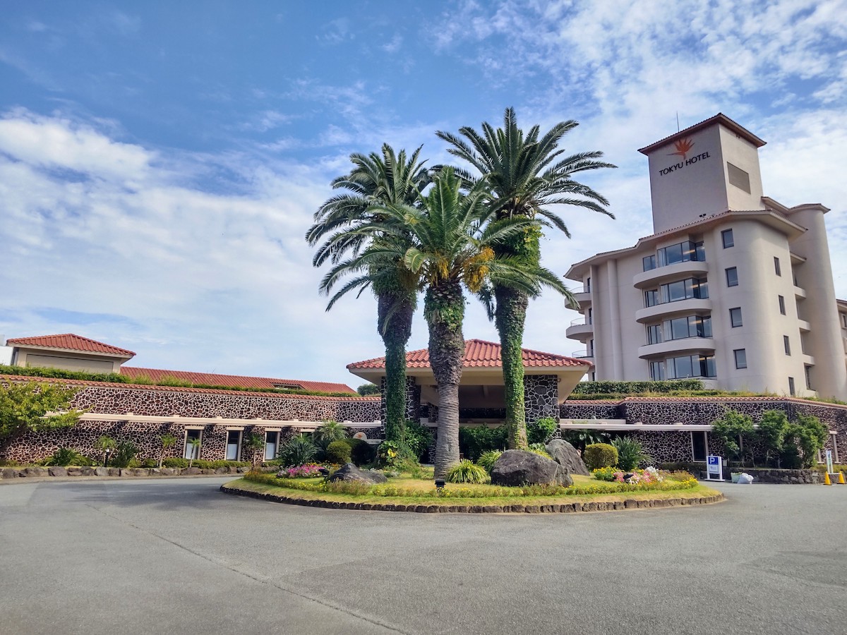 A hotel facade under a blue sky with three large palm trees standing