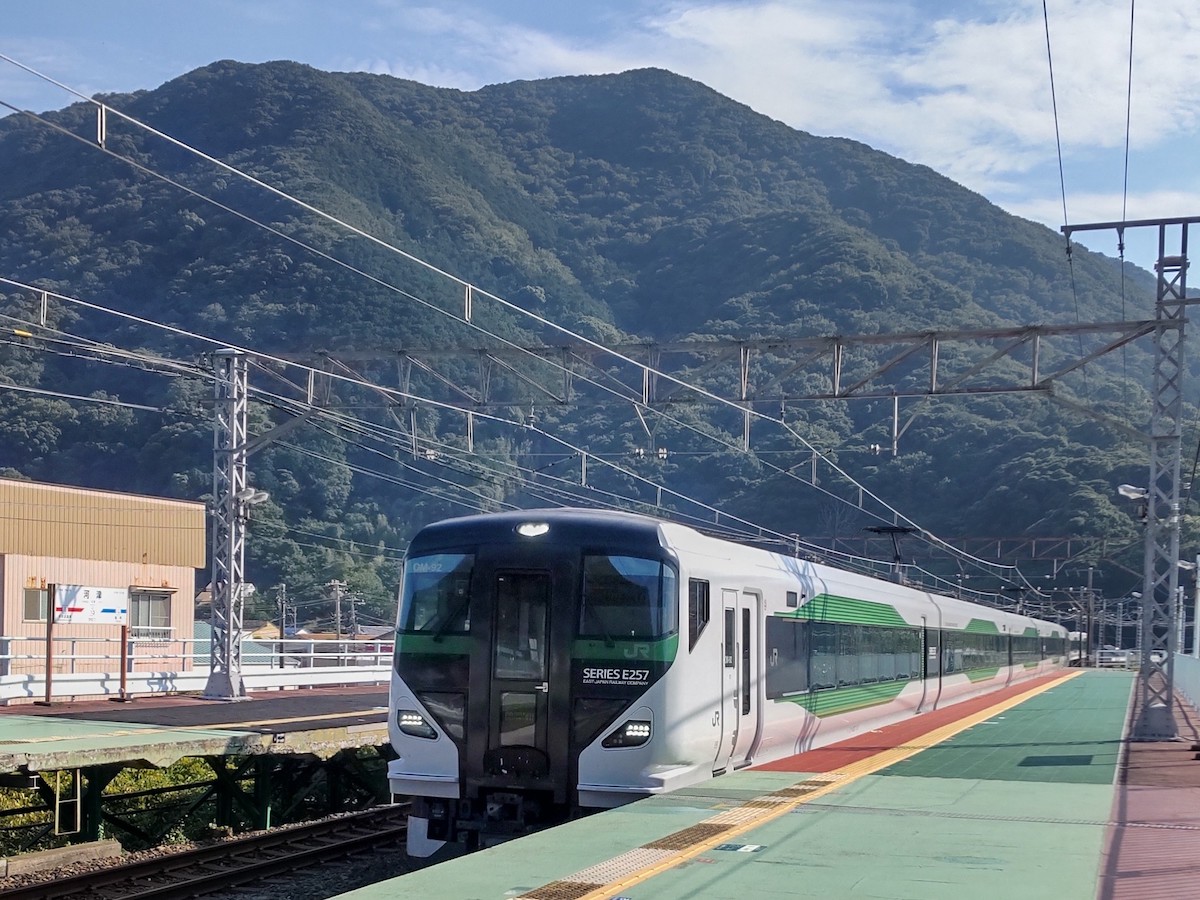 A white train arriving at a platform with a grand mountain in the background