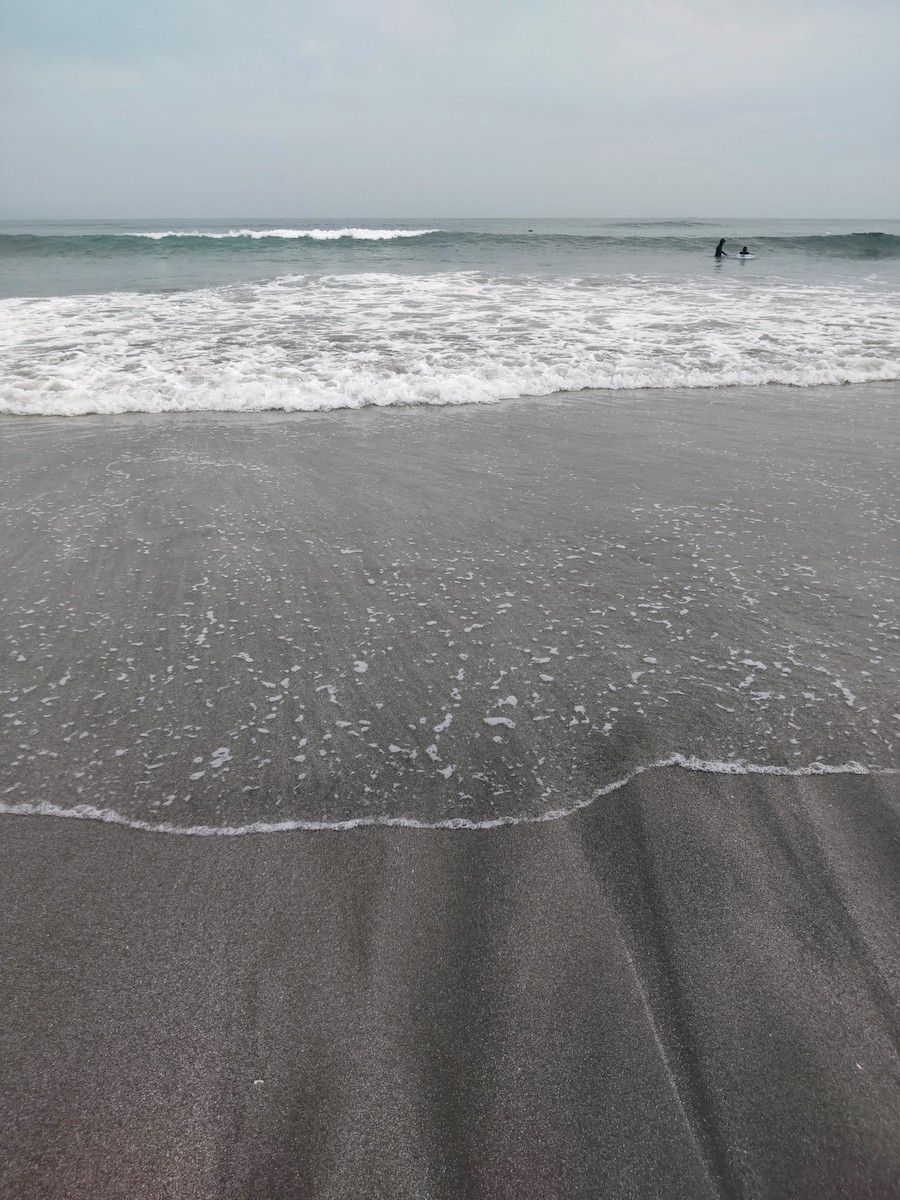 A vertical shot of a slightly wavy sea with the shoreline in the foreground