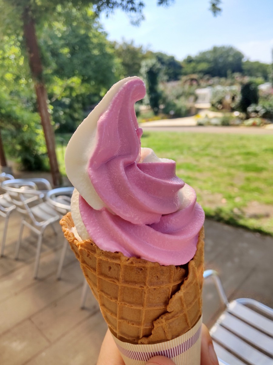 A pink and white swirl soft serve ice cream cone in a sunny garden