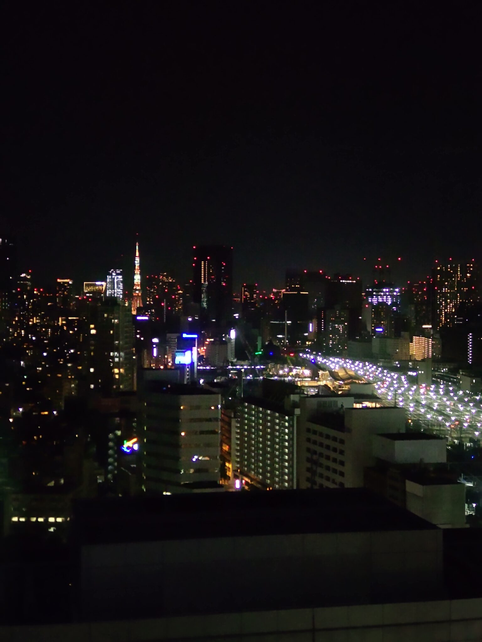 A night view of Tokyo skyline with the illuminated Tokyo Tower in distance