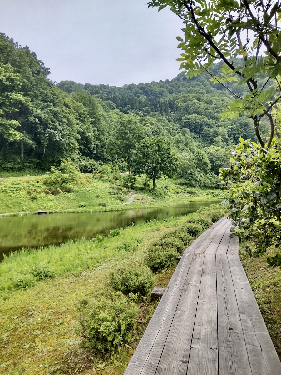 Scenic wooden trail leading visitors through rich green forest near a calm lake